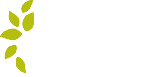 Logo Sander Fysiotherapie